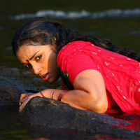 Thaaram Tamil Movie Stills | Picture 37664